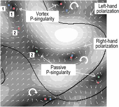 Polarization singularities: Topological and dynamical aspects